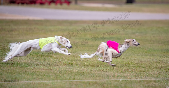 Finals Open Ripley Spiff-2645