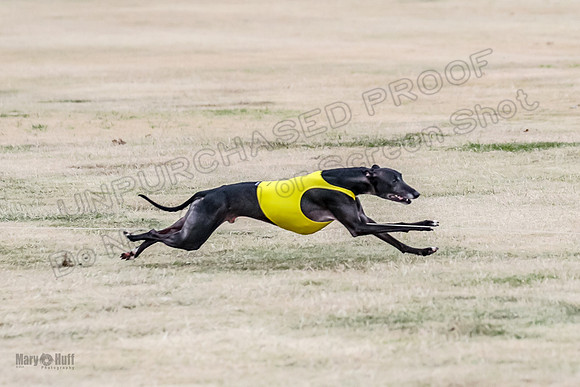 1Prelim Open 2 Shine Maverick Steel-2971