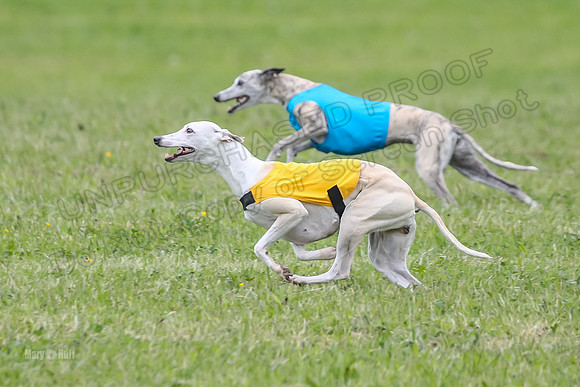 Prelim Veterans 3, Hattie Marley Jewel-0152