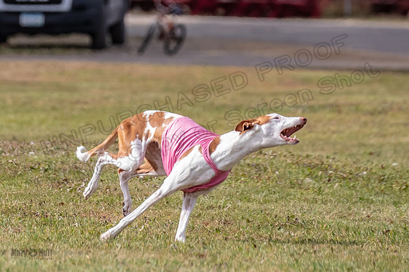 Finals Fch 1 Penny Jadis Madyson-3084
