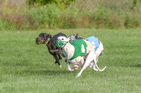prg 1 race 2 Wallie Frankie Devo Sid Elsa-2866-2