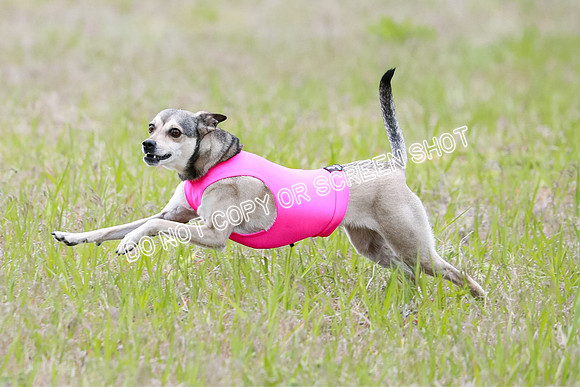 AE4I6033