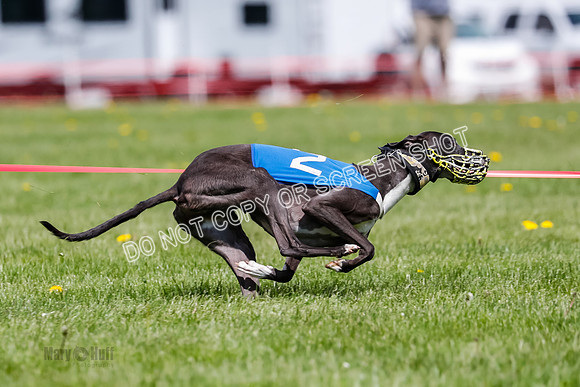 NOTRA Program 2, Race 6, Cinder Stormy Gibbs Shakespeare-2-10