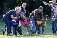 MCH71811 Seger, Dave, Buck