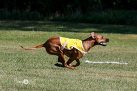 Ridgeback