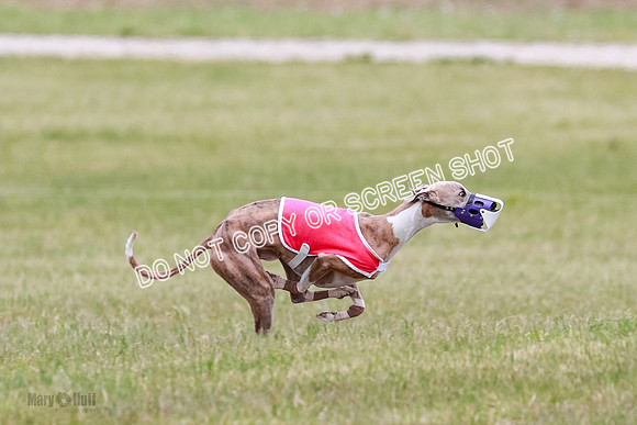 Final Fch 3 Quest Sonny Thor-8418