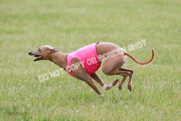 Final Fch 1 Whisper Keegan Charlie-8339