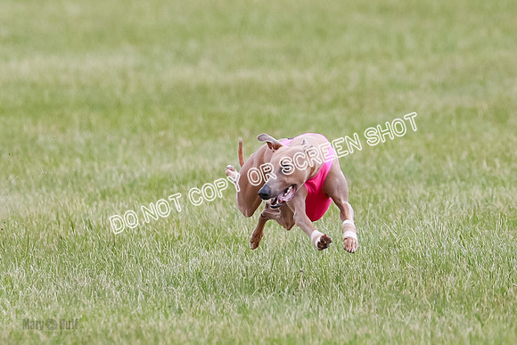 Final Fch 1 Whisper Keegan Charlie-8305