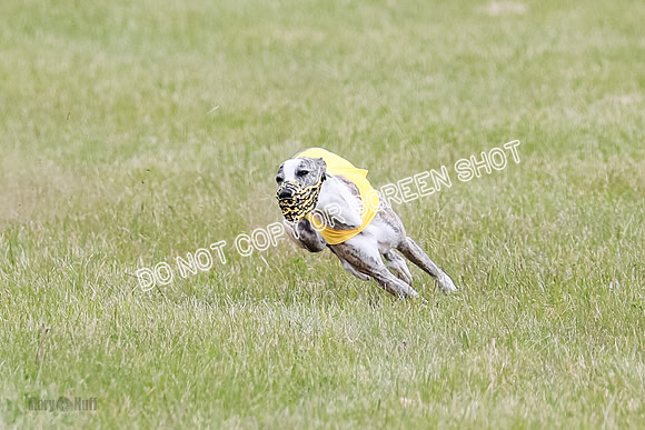 Final Fch 2 Archer Rasher Leni-8369