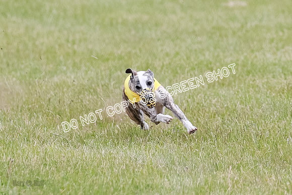 Final Fch 2 Archer Rasher Leni-8368