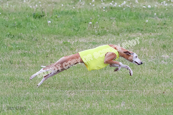 Prelim Open 1 Diamond, Axel, Prim-6427