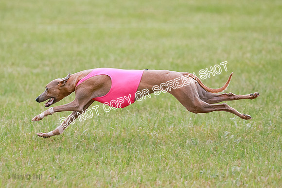 Final Fch 1 Whisper Keegan Charlie-8338