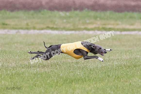 Final Open 2 Sting Jordan Rocky-8221