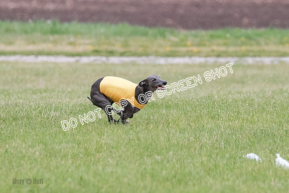 Final Open 2 Sting Jordan Rocky-8223