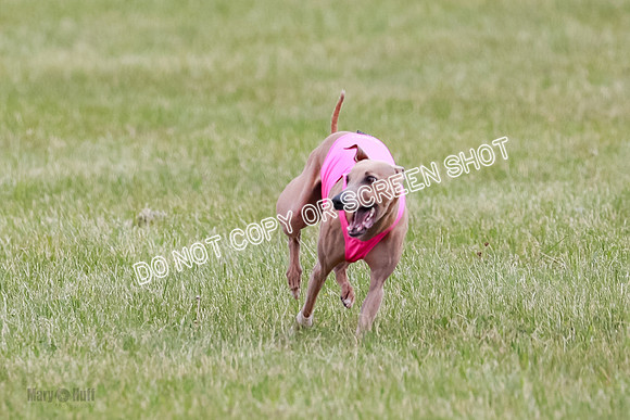 Final Fch 1 Whisper Keegan Charlie-8306