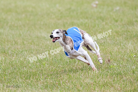 Final Fch 1 Whisper Keegan Charlie-8312