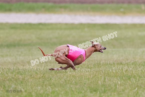 Final Fch 1 Whisper Keegan Charlie-8299