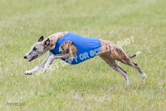 Final Fch 2 Archer Rasher Leni-8395
