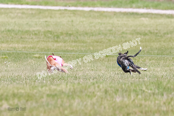 Final Open 1 Axl Diamond Prim-8138