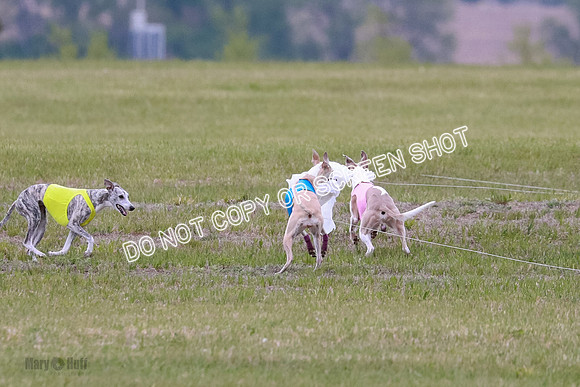Prelim Fch 4 Vera Rasher Raya-6855