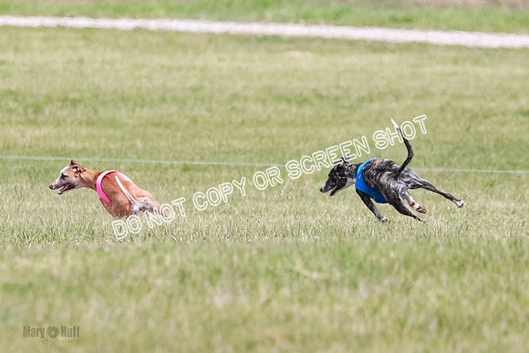 Final Open 1 Axl Diamond Prim-8139