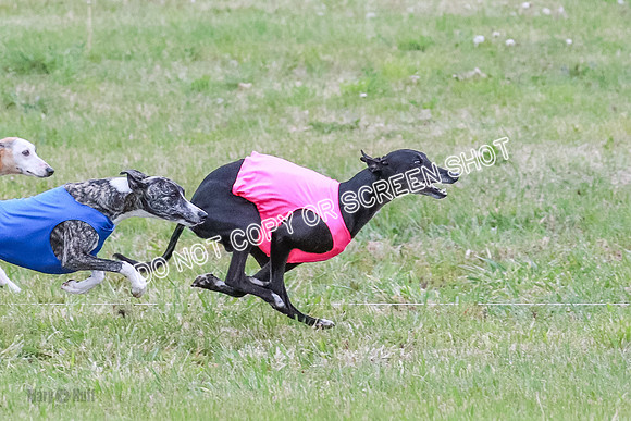 Prelim Open 1 Diamond, Axel, Prim-6418