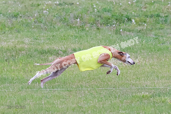 Prelim Open 1 Diamond, Axel, Prim-6430