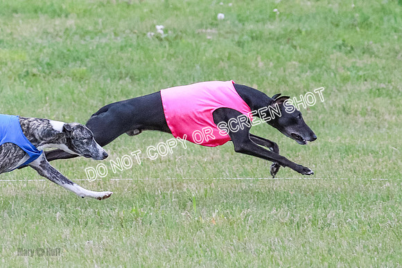 Prelim Open 1 Diamond, Axel, Prim-6424