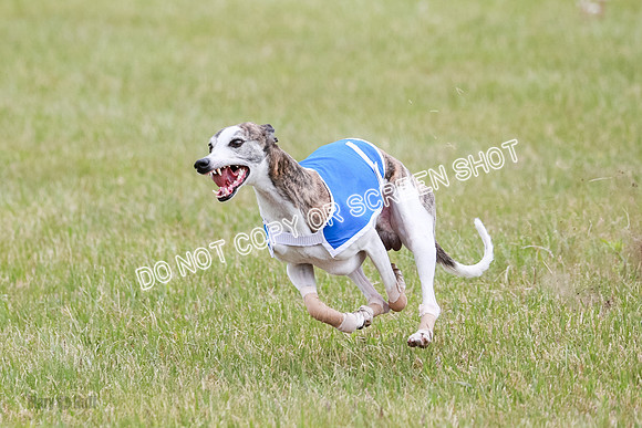 Final Fch 1 Whisper Keegan Charlie-8313