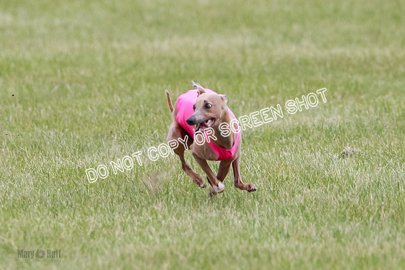 Final Fch 1 Whisper Keegan Charlie-8303