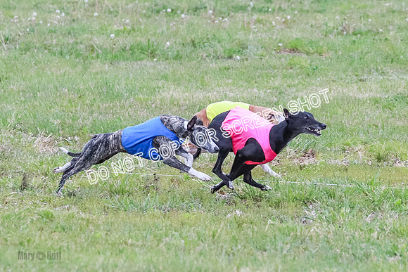 Prelim Open 1 Diamond, Axel, Prim-6408