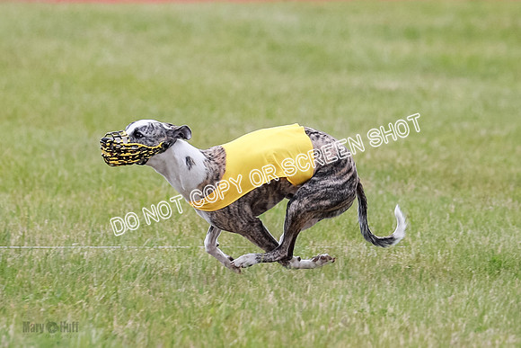Final Fch 2 Archer Rasher Leni-8384