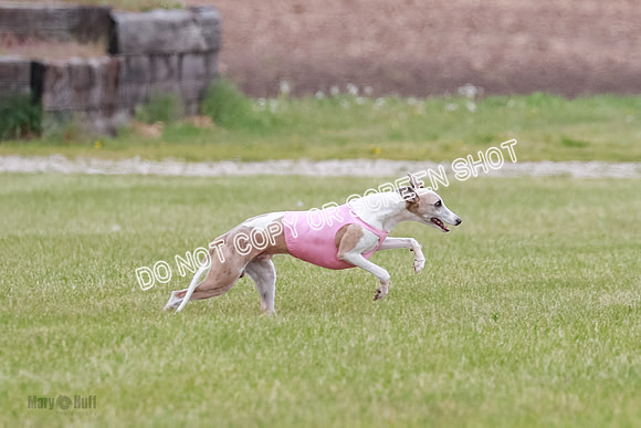 Final Fch 2 Archer Rasher Leni-8353