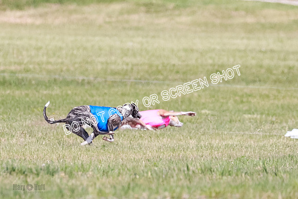 Final Open 1 Axl Diamond Prim-8128
