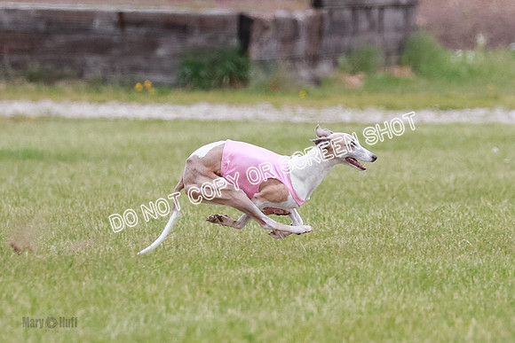 Final Fch 2 Archer Rasher Leni-8352