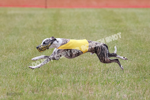 Final Fch 2 Archer Rasher Leni-8391