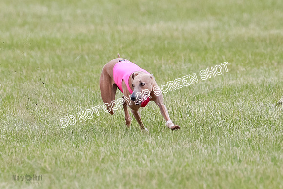 Final Fch 1 Whisper Keegan Charlie-8302