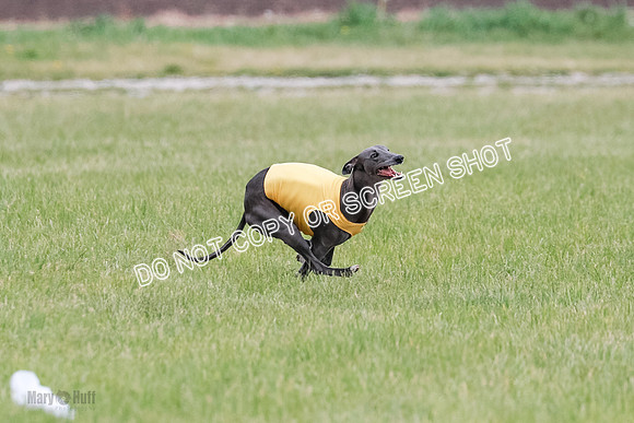 Final Open 2 Sting Jordan Rocky-8227