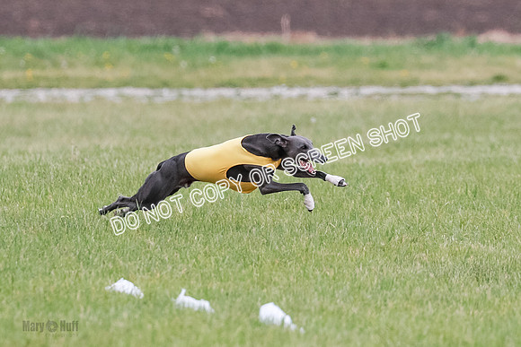 Final Open 2 Sting Jordan Rocky-8225
