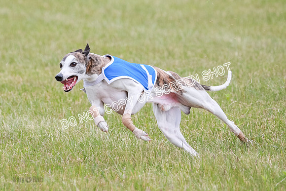 Final Fch 1 Whisper Keegan Charlie-8314