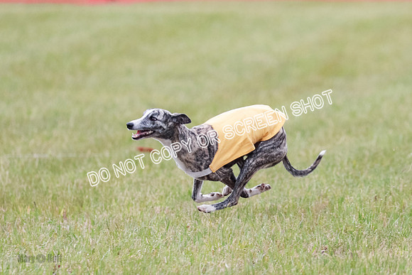 Final Fch 1 Whisper Keegan Charlie-8328