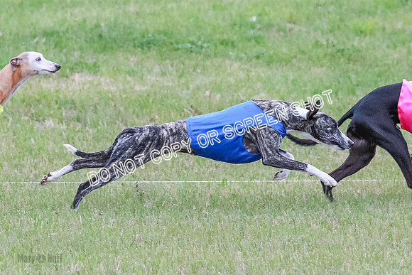 Prelim Open 1 Diamond, Axel, Prim-6423