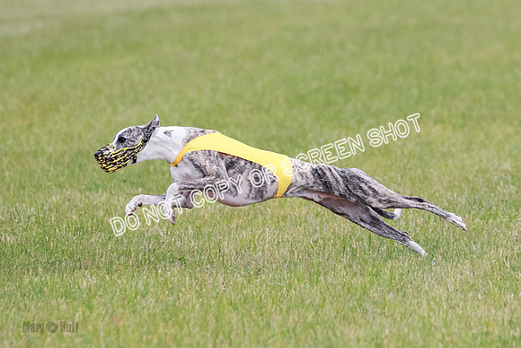 Final Fch 2 Archer Rasher Leni-8378