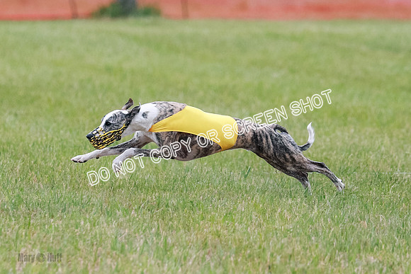 Final Fch 2 Archer Rasher Leni-8386