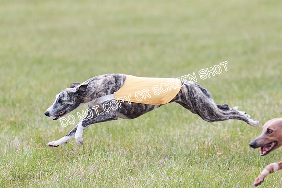 Final Fch 1 Whisper Keegan Charlie-8329