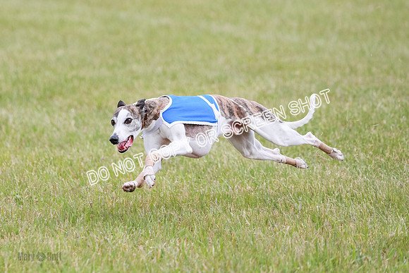 Final Fch 1 Whisper Keegan Charlie-8315