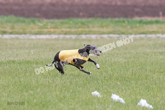 Final Open 2 Sting Jordan Rocky-8224