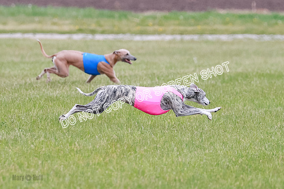 Final Fch 4  Hazel Vera Ren-8491