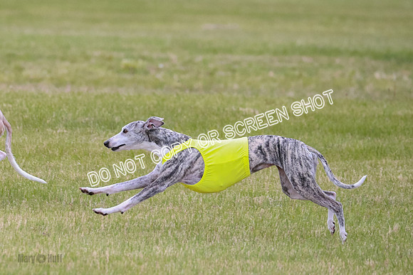 Prelim Fch 4 Vera Rasher Raya-6835