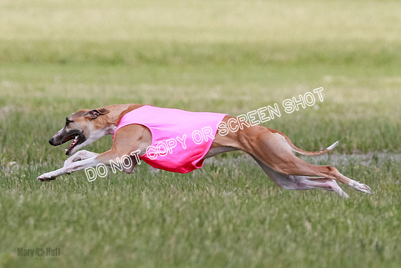 Final Open 1 Axl Diamond Prim-8170